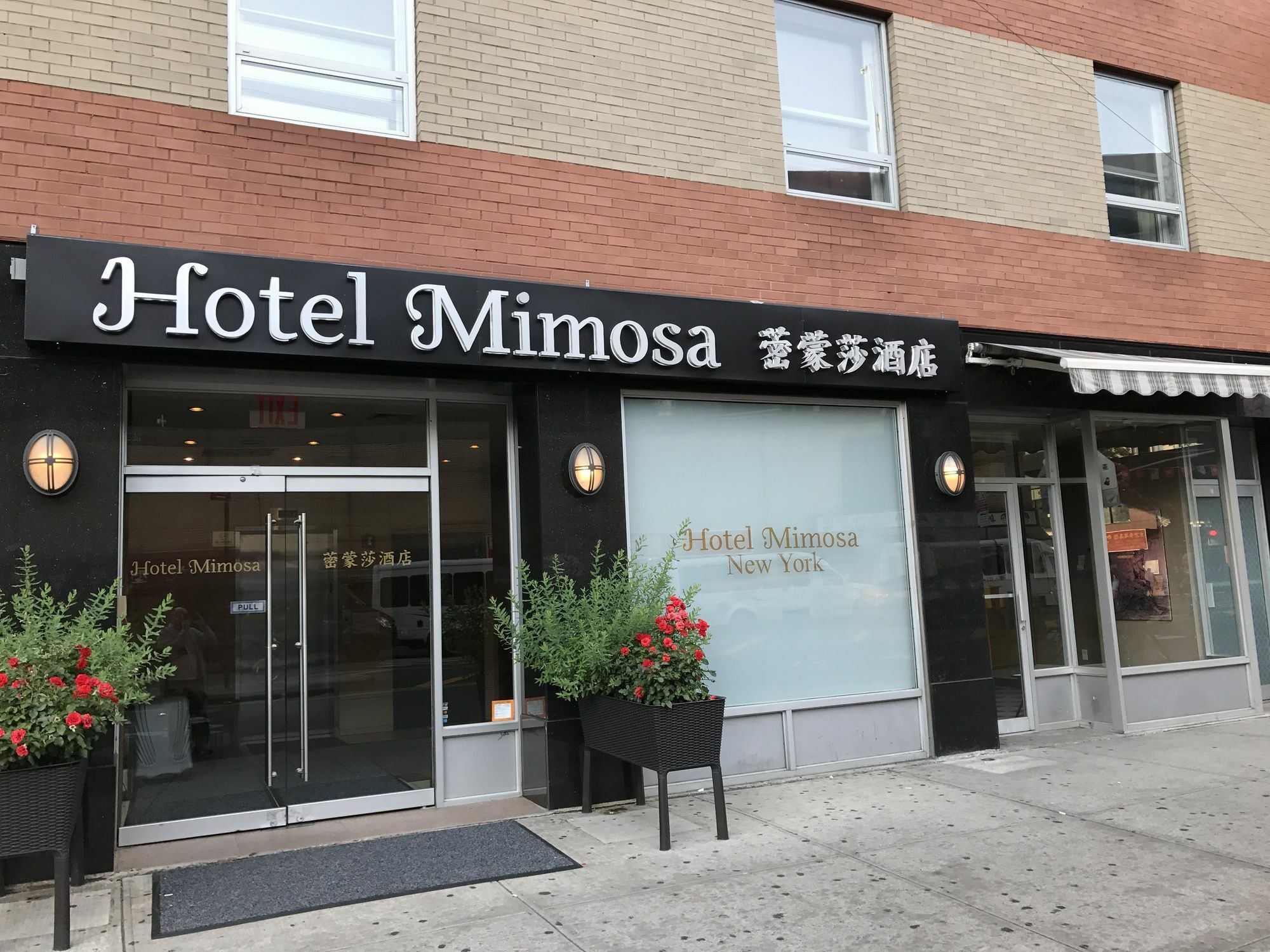 Hotel Mimosa New York Luaran gambar