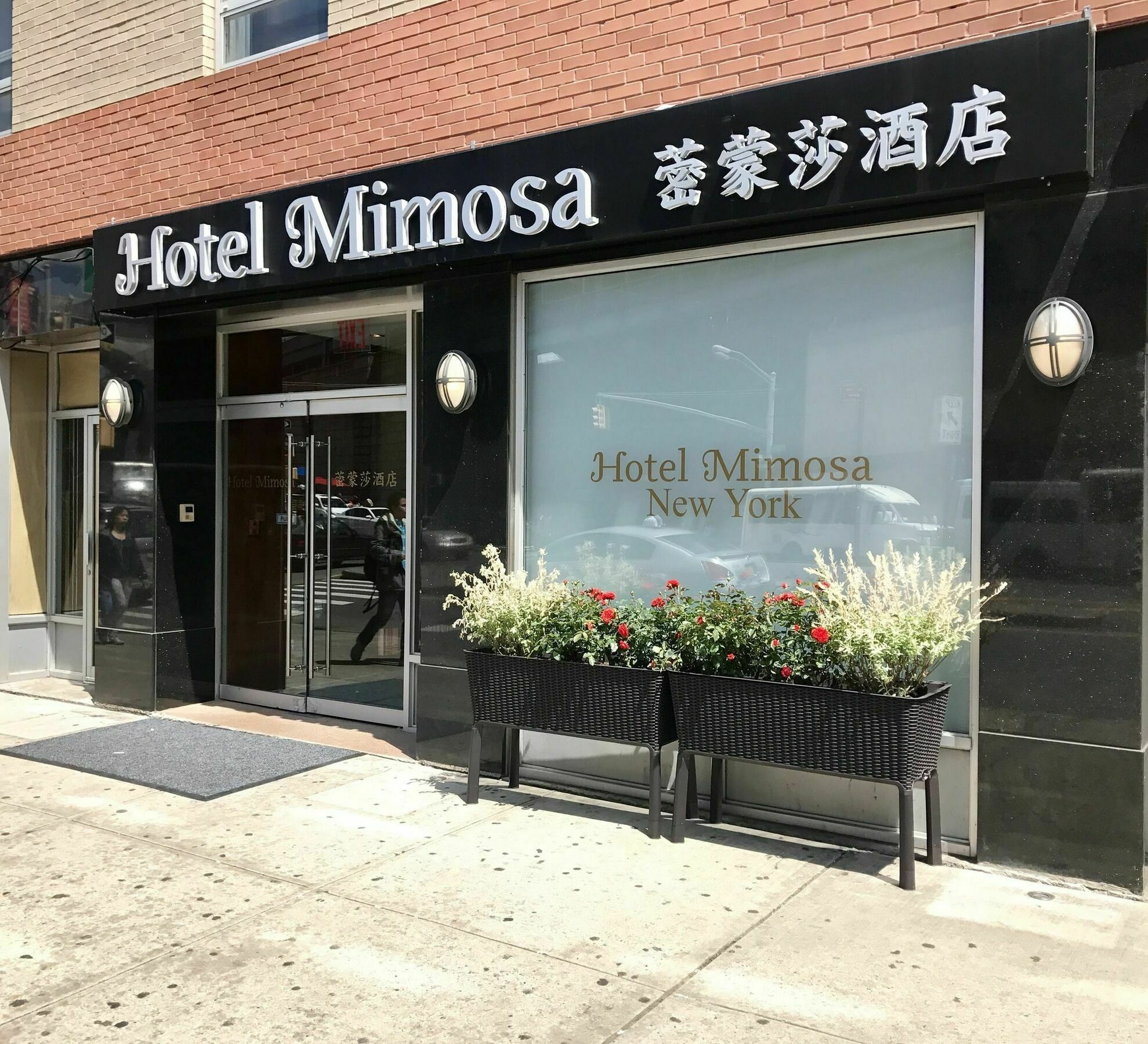 Hotel Mimosa New York Luaran gambar